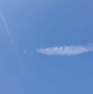 Meet your Posher, Marisol